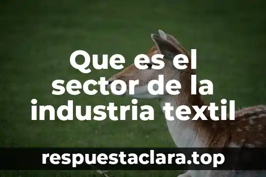 Que es el sector de la industria textil