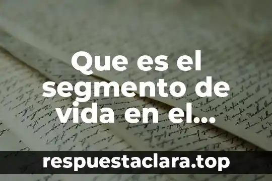 Que es el segmento de vida en el avion
