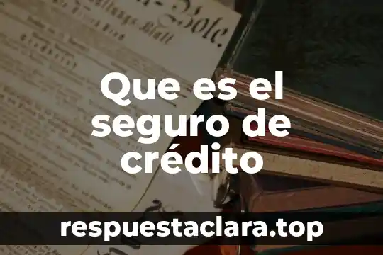Que es el número de seguro 8 Que es el seguro de crédito