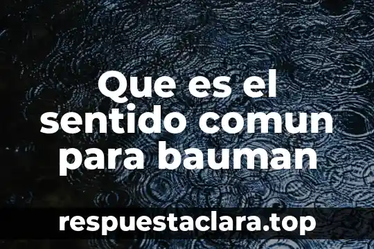 Que es el sentido comun para bauman
