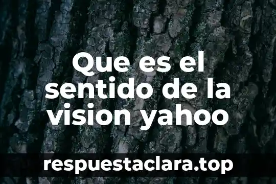 Que es el sentido de la vision yahoo