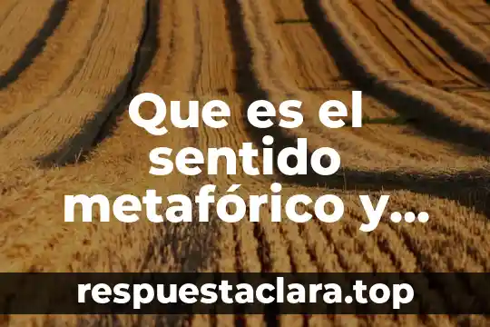 Que es el sentido metafórico y sus características