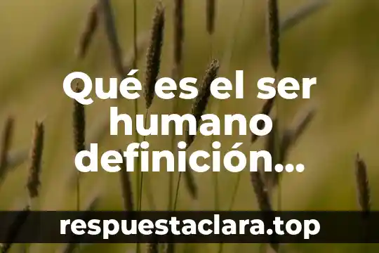 Qué es el ser humano definición filosófica