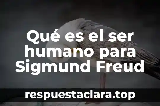 Qué es el ser humano para Sigmund Freud