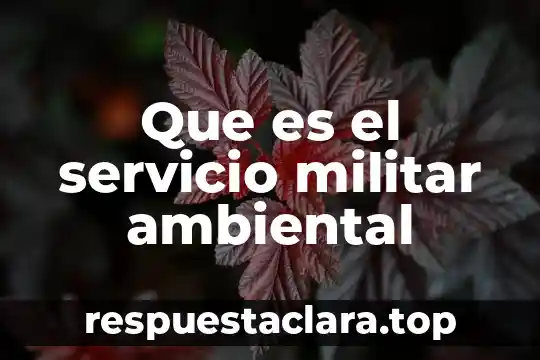 Que es el servicio militar ambiental