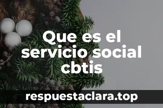 Edward Hall que es cultura 8 Que es el servicio social cbtis