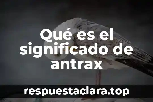 Que es un sistema butch 4 Qué es el significado de antrax