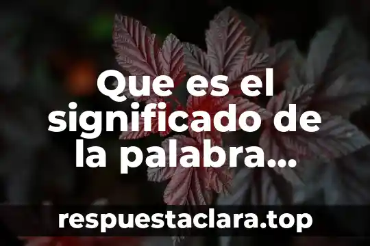Que es unicornio significado 3 Que es el significado de la palabra sentimiento