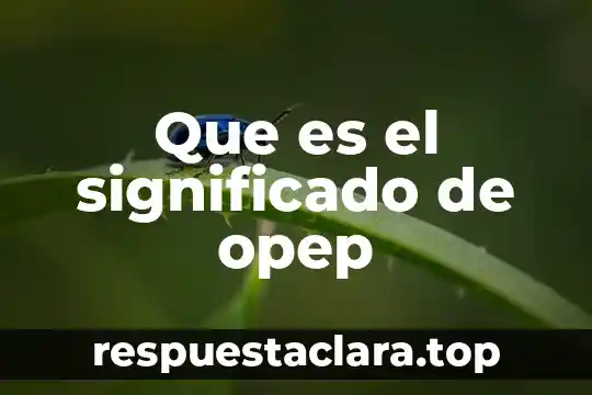 Que es el significado de opep