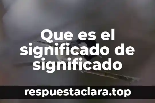 Significado que es la Navidad 8 Que es el significado de significado