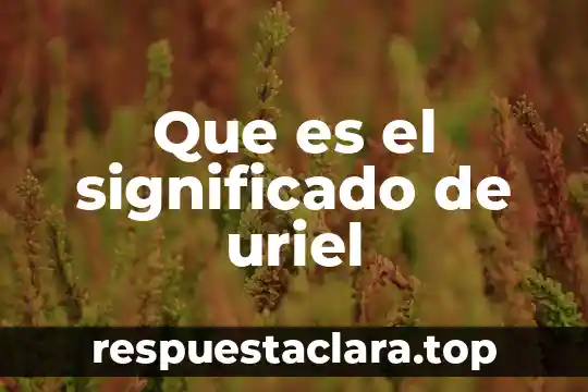 Que es unicornio significado 8 Que es el significado de uriel