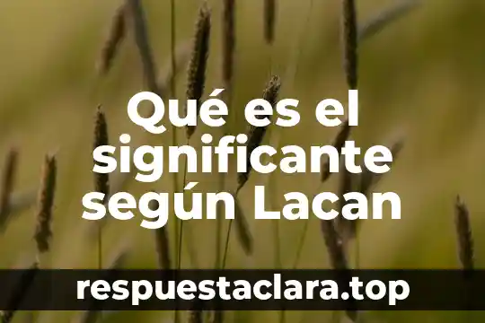 Que es significado y significante yahoo 3 Qué es el significante según Lacan