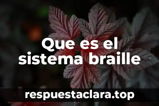 Que es el sistema braille