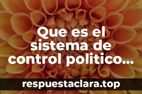 Que es el sistema de control politico y juridico cionstitucional