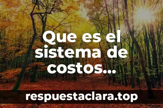 Que es el sistema de costos predeterminados