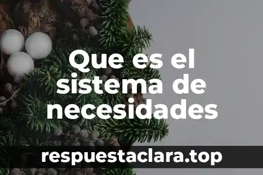 Que es el sistema de necesidades