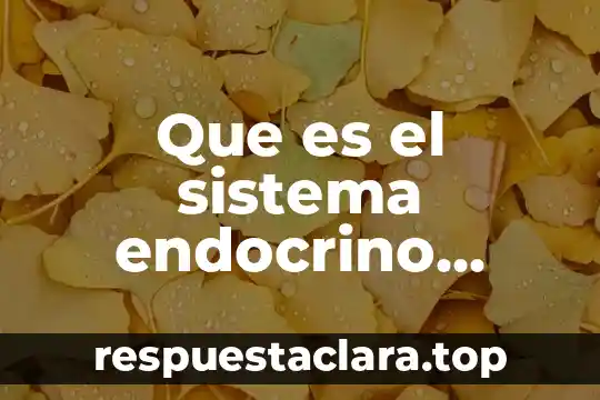Que es el sistema endocrino segun el tortora
