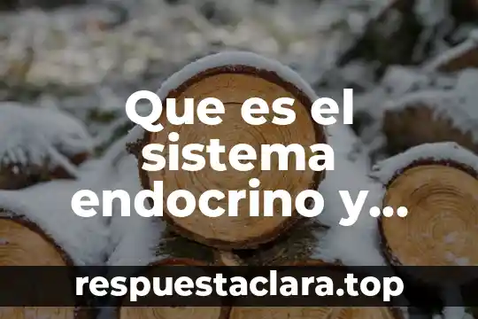Que es el sistema endocrino y que loconforma