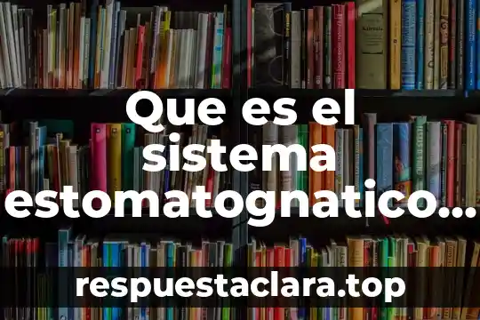 Que es el sistema estomatognatico yahoo