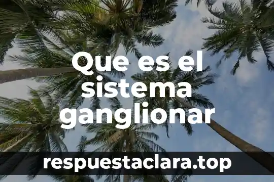 Qué es una teoría un sistema una escuela 3 Que es el sistema ganglionar
