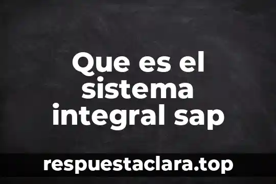 Qué es más difícil, ser consultor SAP o seguridad 3 Que es el sistema integral sap