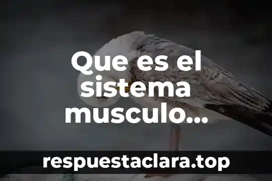 Que es el sistema musculo endocrino
