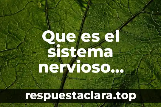 Que es una celula animal y partes 6 Que es el sistema nervioso vegetativo y sus partes