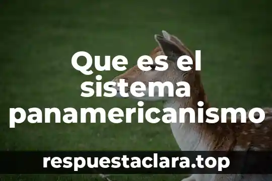 Que es el sistema panamericanismo