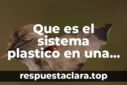 Que es una solución concepto 5 Que es el sistema plastico en una solucion