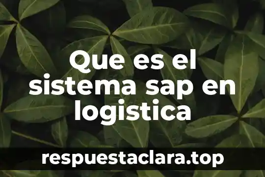 Qué es más difícil, ser consultor SAP o seguridad 4 Que es el sistema sap en logistica