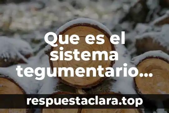 Que es la entrevista no estructurada 4 Que es el sistema tegumentario en los animales