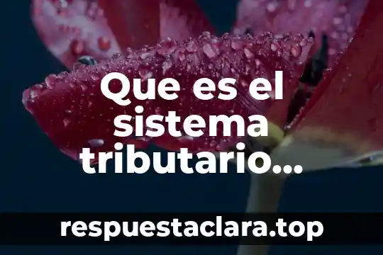 Que es el sistema tributario federal