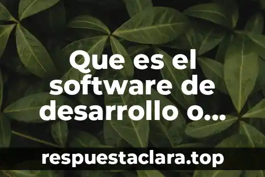 Que es el software de desarrollo o programacion