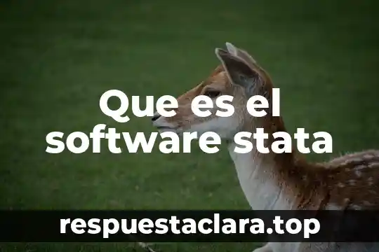 Que es el software stata