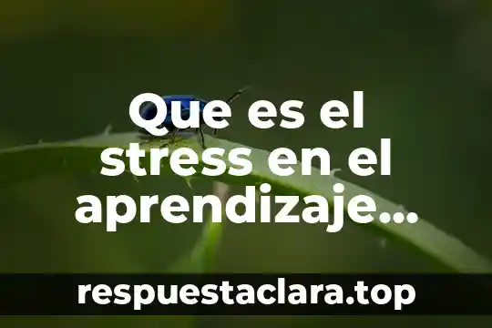 Que es el nombre propio segun autores 5 Que es el stress en el aprendizaje segun autores