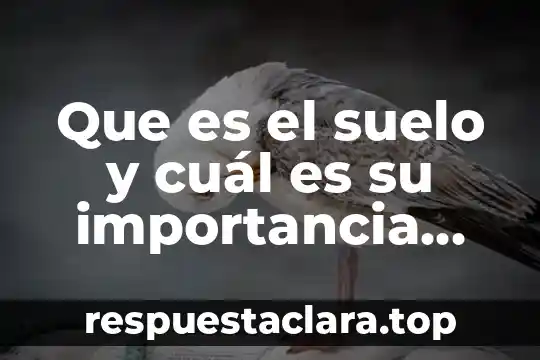 Que es el suelo y cuál es su importancia biológica