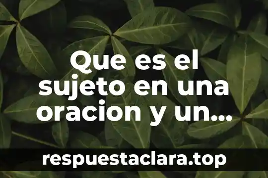 Que es el sujeto en una oracion y un ejemplo