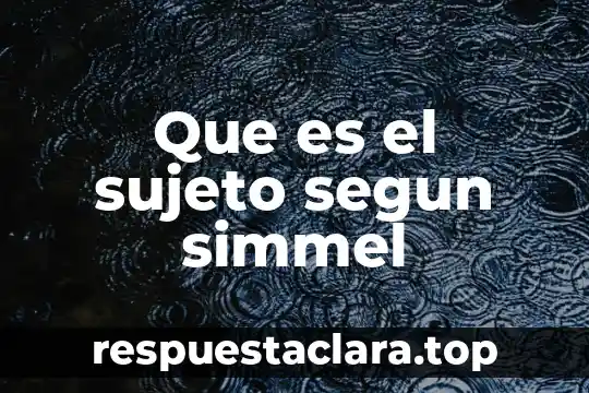 Que es el pensamiento formal segun piaget 7 Que es el sujeto segun simmel