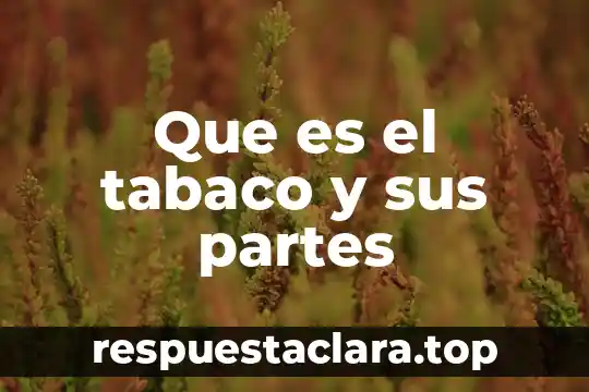 Que es el tabaco y sus partes