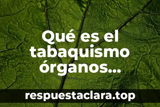 Qué es el tabaquismo órganos afectados