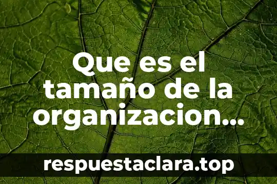 Que es el tamaño de la organizacion influyente