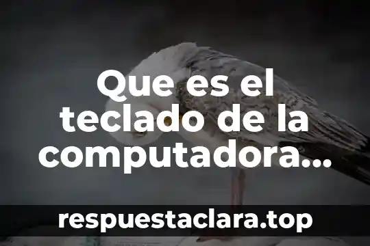 Diagra de que es la computadora 5 Que es el teclado de la computadora para niños