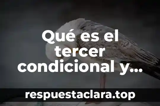 Qué es el tercer condicional y su estructura