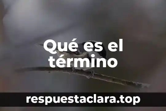 Qué es el término