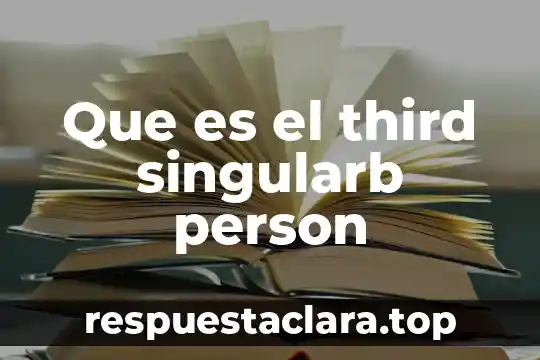 Que es el third singularb person