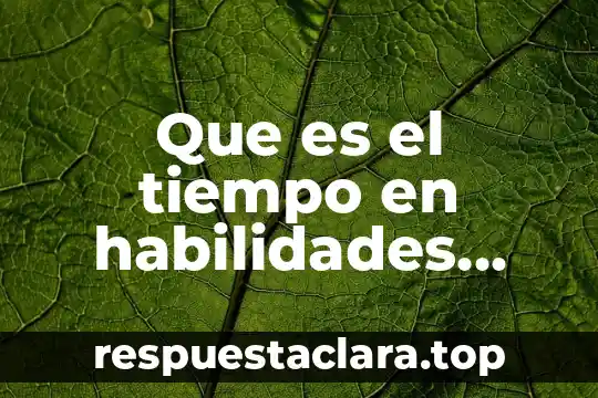 Que es el tiempo en habilidades directivas dinamicas