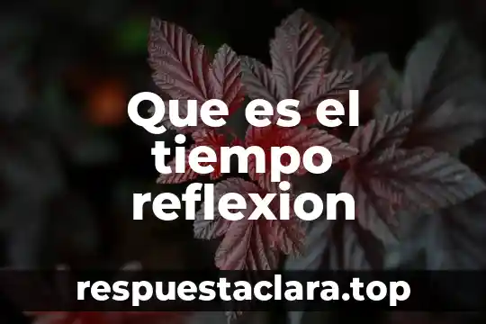 Que es el tiempo reflexion