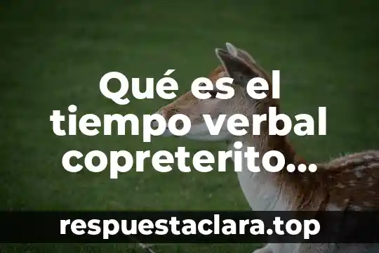 Que es el por tiempo verbal compuesto 7 Qué es el tiempo verbal copreterito ejemplos