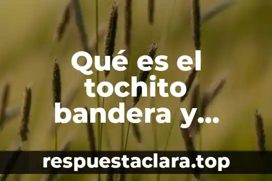 Qué es el tochito bandera y cuáles son sus reglas