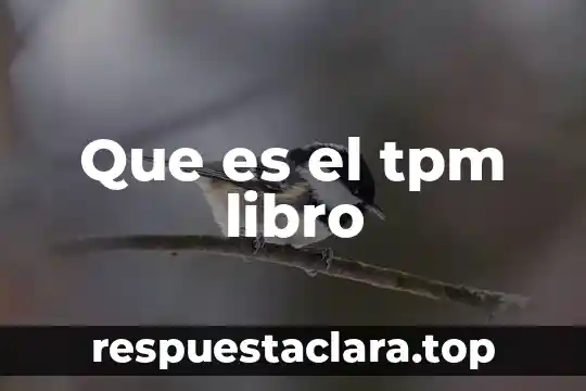 Que es el tpm libro